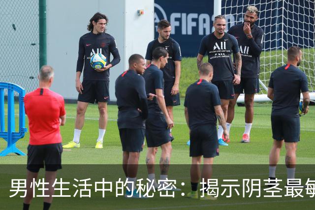 男性生活中的秘密：揭示阴茎最敏感区域的科学探索
