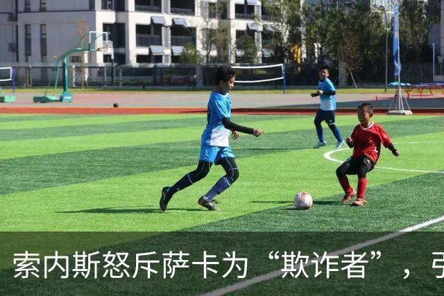 索内斯怒斥萨卡为“欺诈者”，引发激烈争议